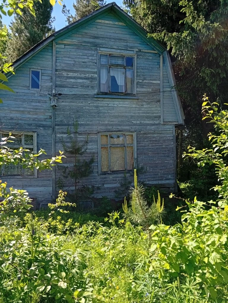 Прекрасный участок в лесу с домом в Москве фото 2 Недвижимость Москва