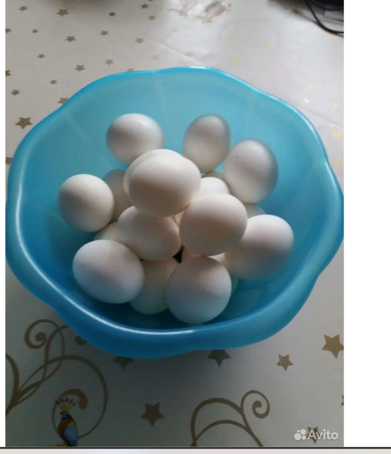 Яйца от домашних курочек в Москве фото 1 Продукты питания Москва