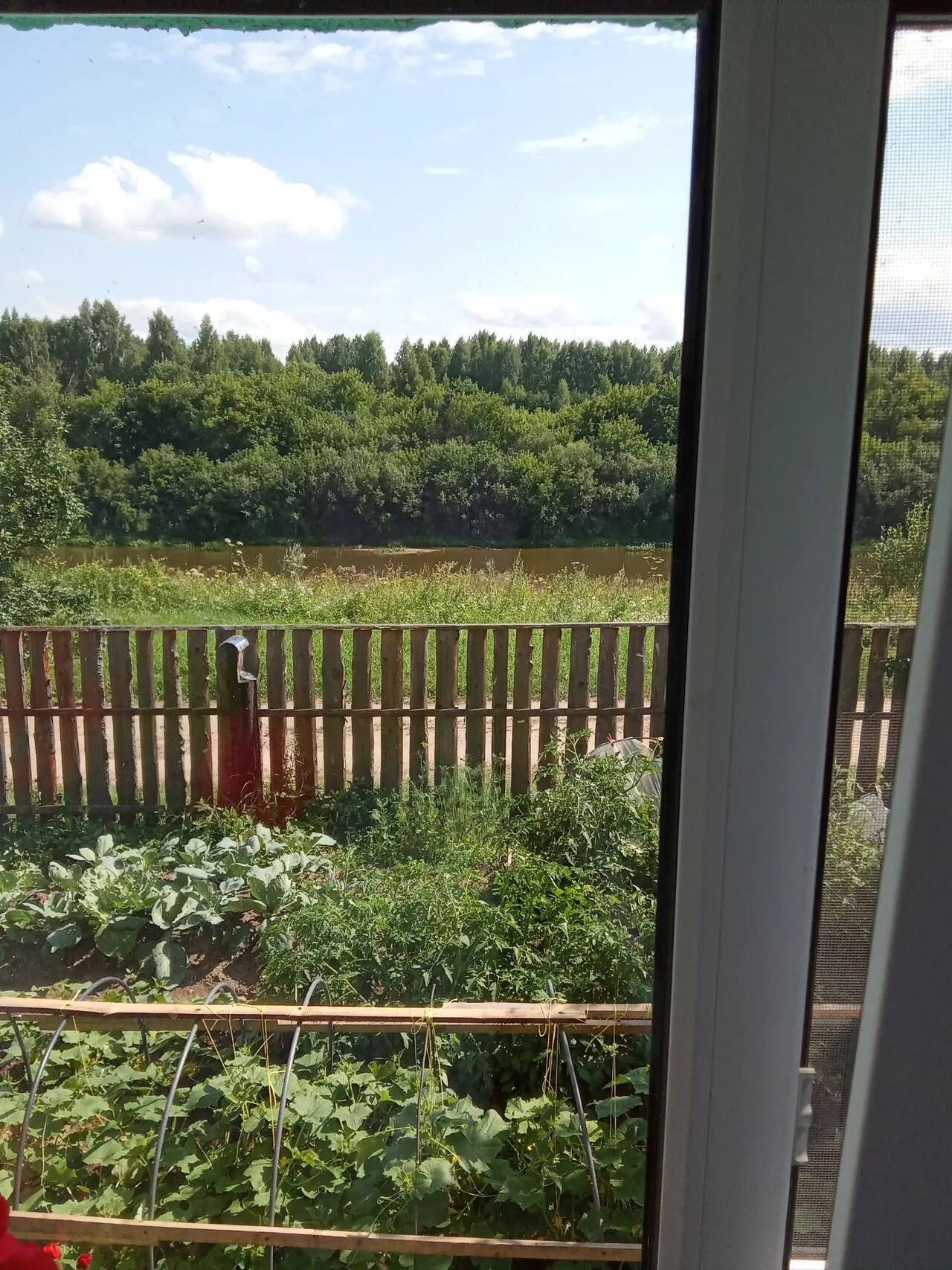 Продам 3х комнатную квартиру в Буе фото 4 Недвижимость Буй