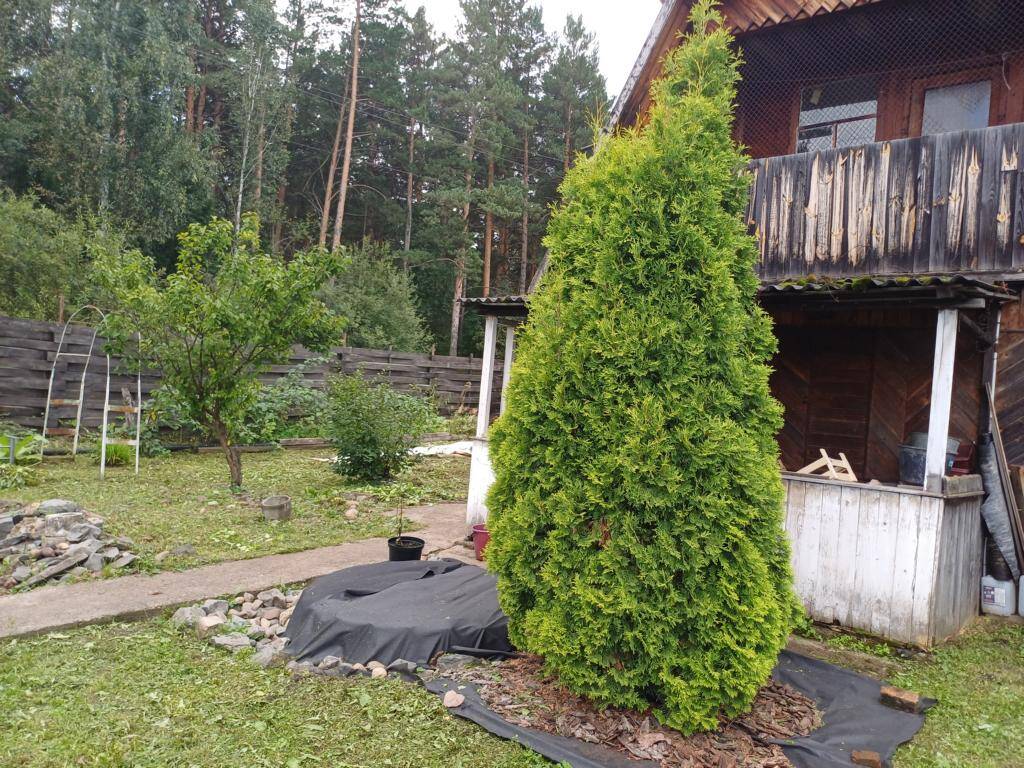 Продается дача в Железногорске (Красноярский край) фото 7 Недвижимость Железногорск (Красноярский край)