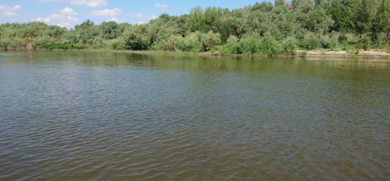 Продам Участок 5,5 га в Астраханской обл, остров Вятский в Астрахани фото 1 Недвижимость Астрахань