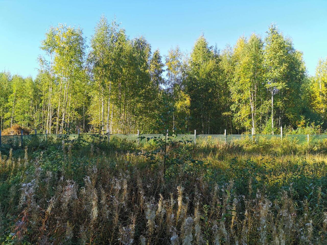 Продам участок с домом в п Прибылово в Выборге фото 6 Недвижимость Выборг