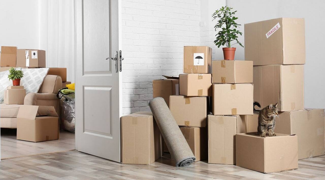 Услуги грузчиков профессионалов,Газель,Каблук,переезды,пианино.