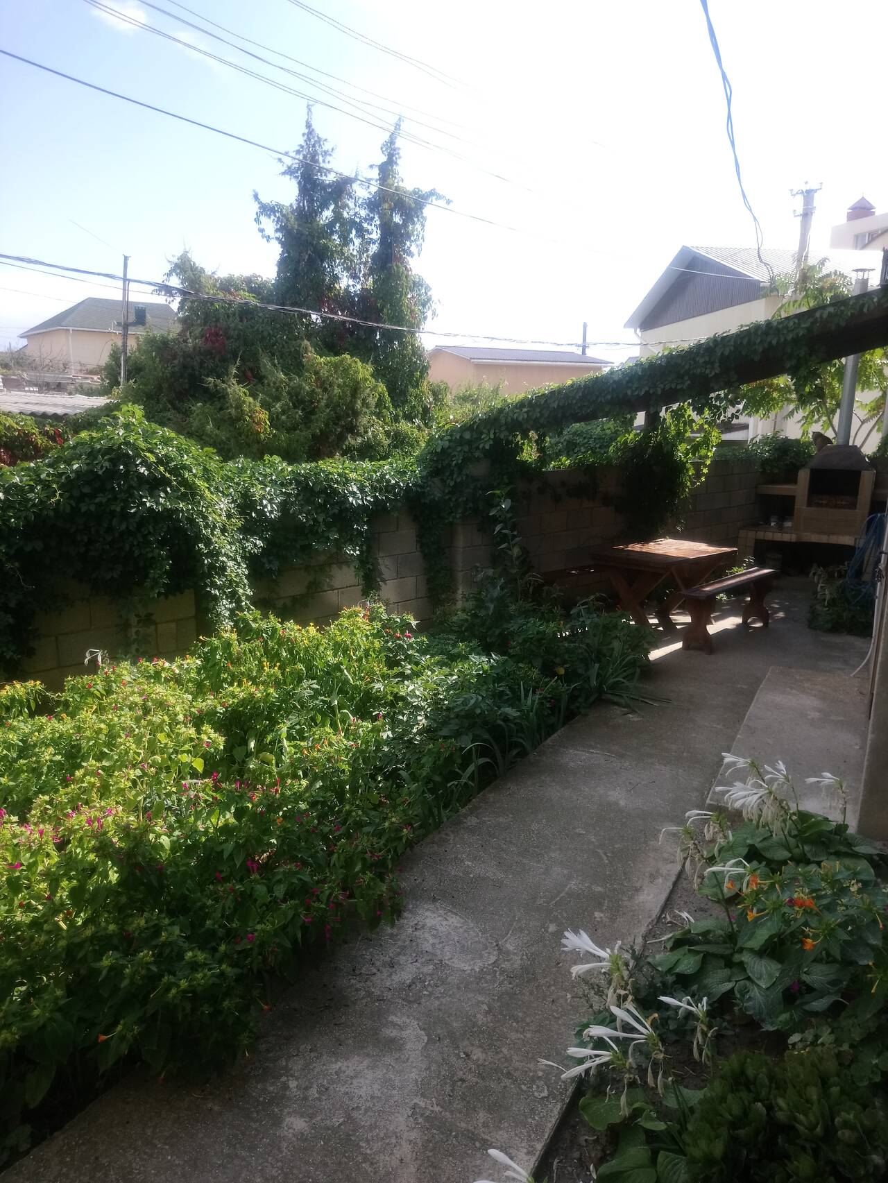 продам дом в Судаке фото 3 Недвижимость Судак