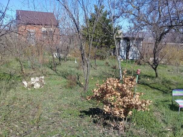 Земельный участок в Новороссийске фото 3 Недвижимость Новороссийск Земельный участок в Новороссийске фото 3 Недвижимость Новороссийск