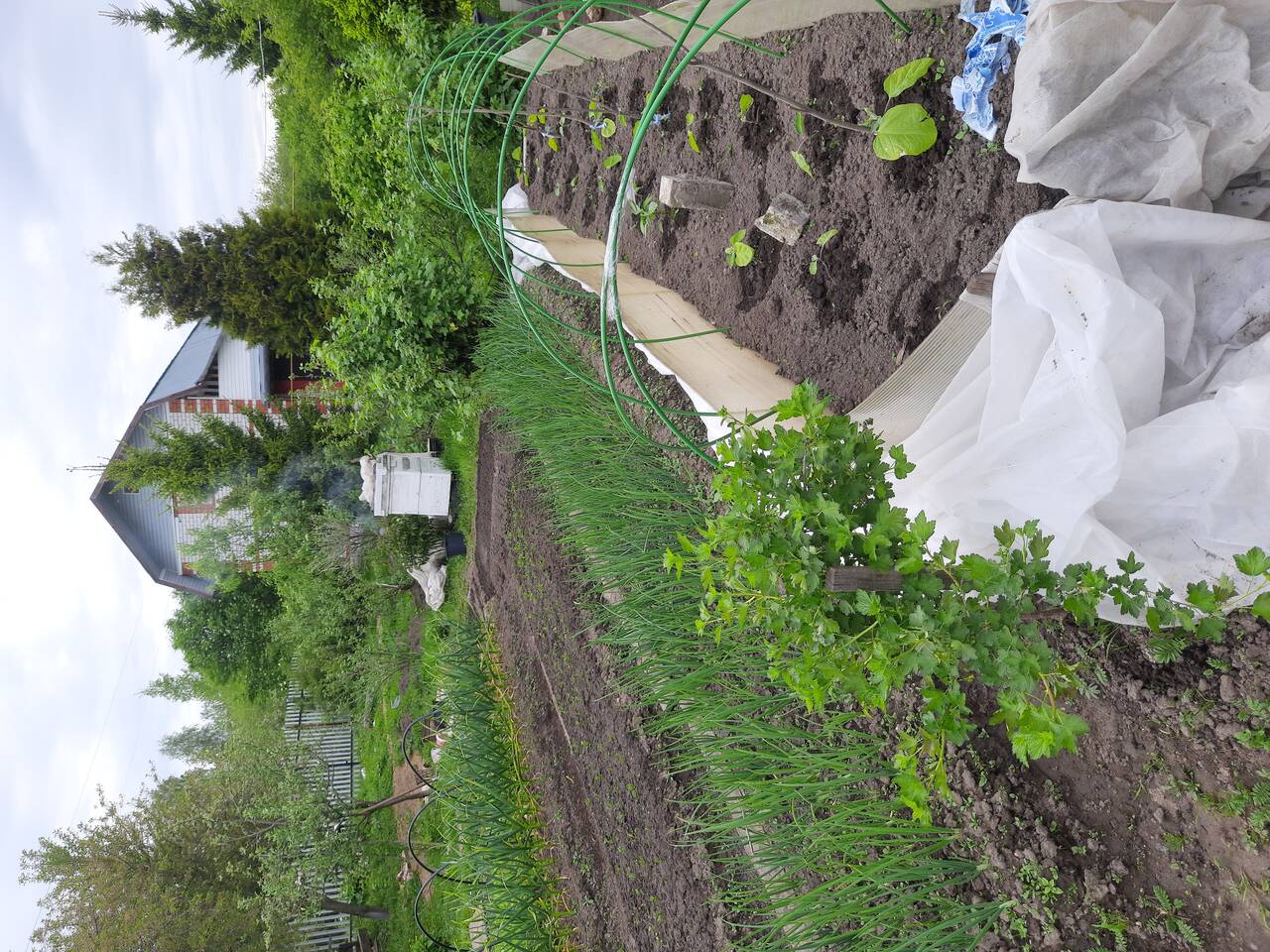 Продаю усадьбу с перспективой организовать бизнес в Муроме фото 2 Недвижимость Муром