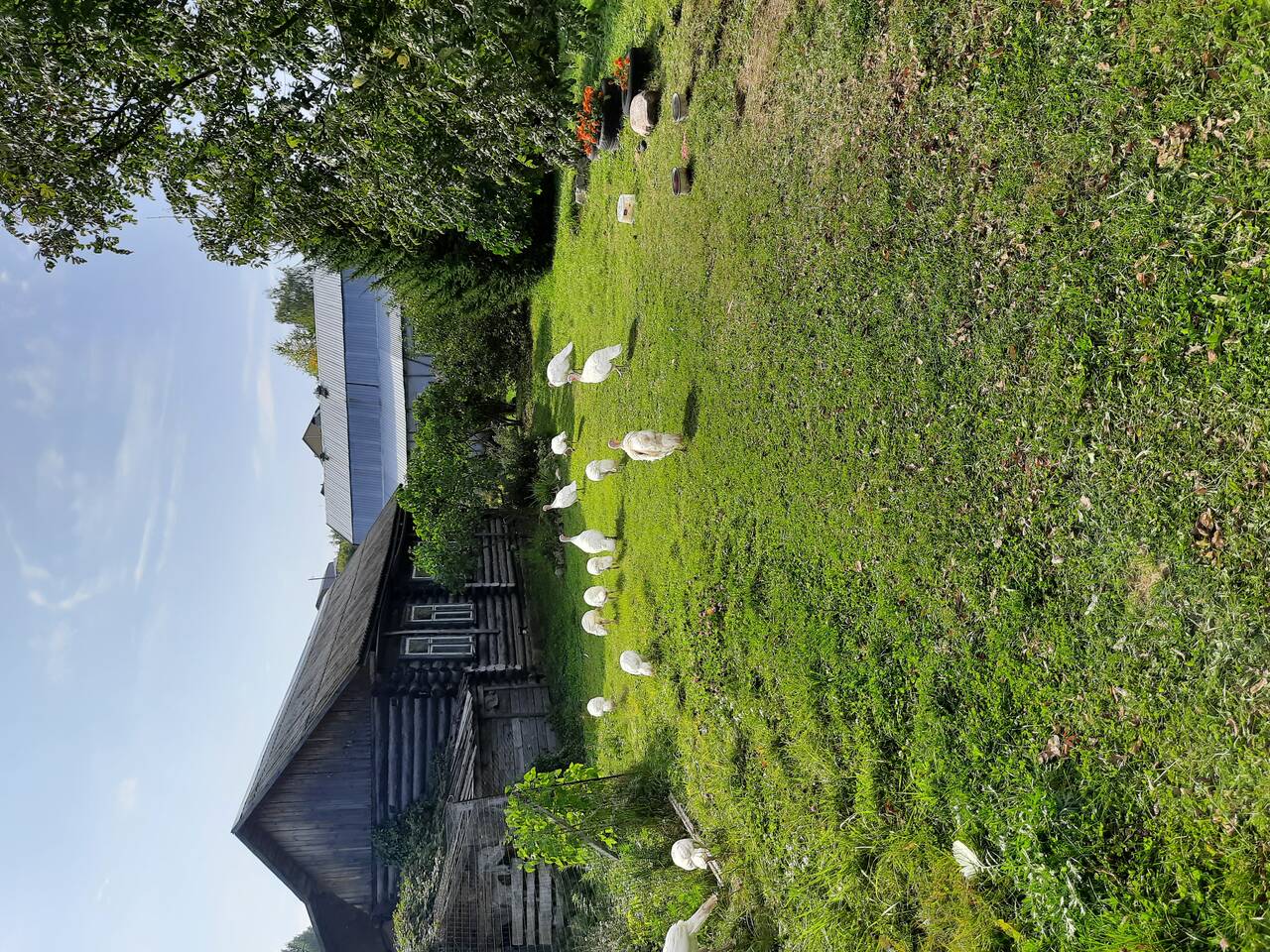 Продаю усадьбу с перспективой организовать бизнес в Муроме фото 6 Недвижимость Муром