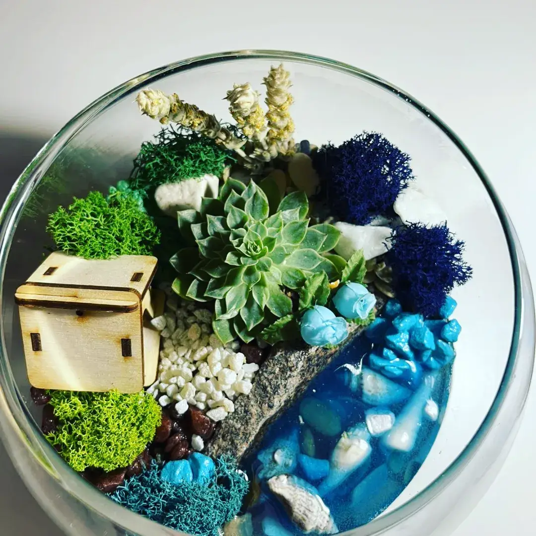 Флорариум собственного производства в Санкт-Петербурге фото 4 Для дома и дачи Санкт-Петербург