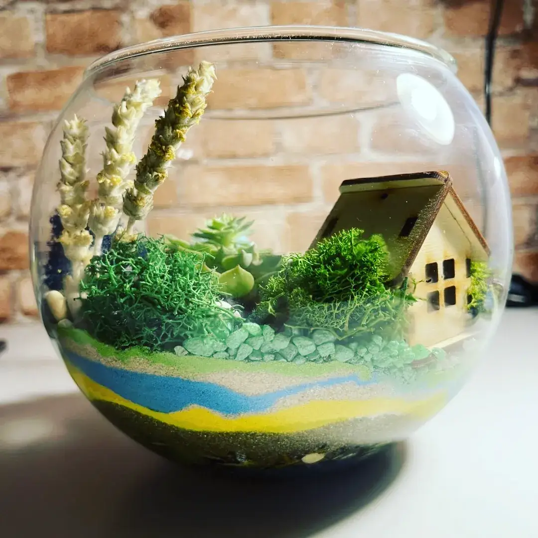 Флорариум собственного производства в Санкт-Петербурге фото 1 Для дома и дачи Санкт-Петербург