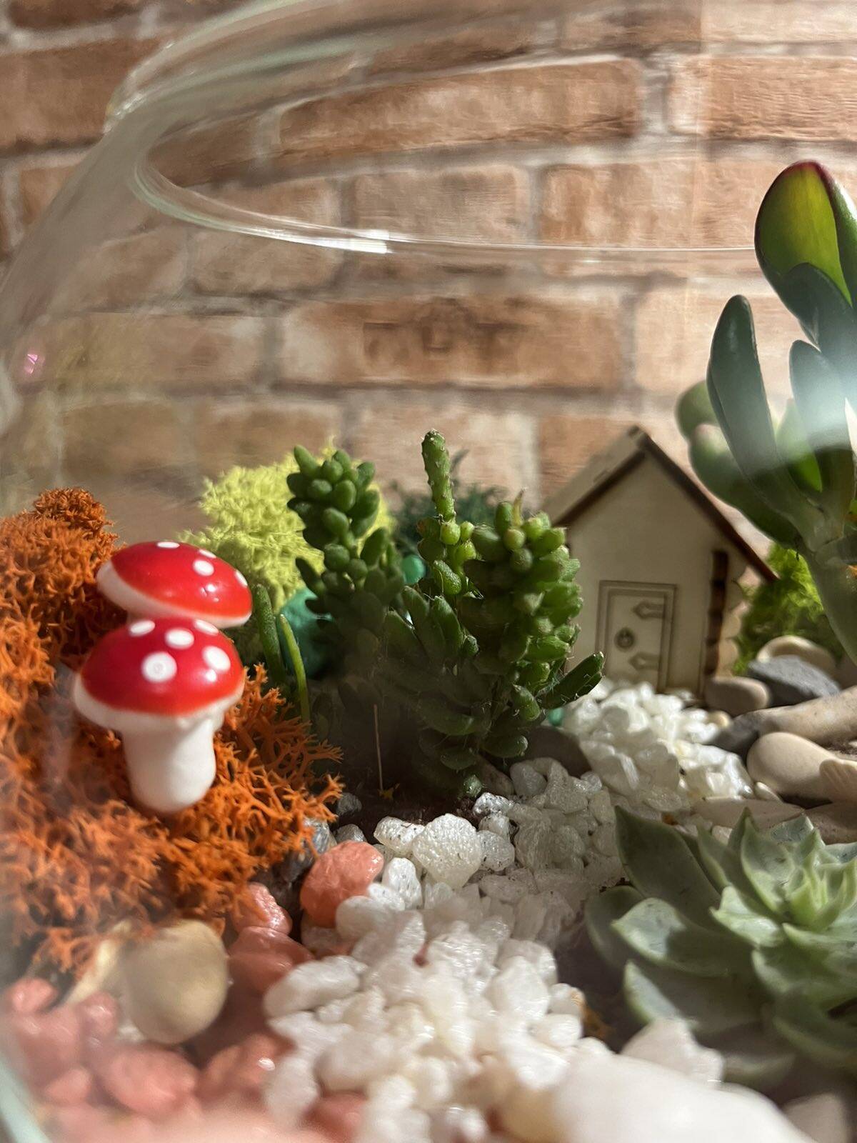 Флорариум собственного производства в Санкт-Петербурге фото 7 Для дома и дачи Санкт-Петербург