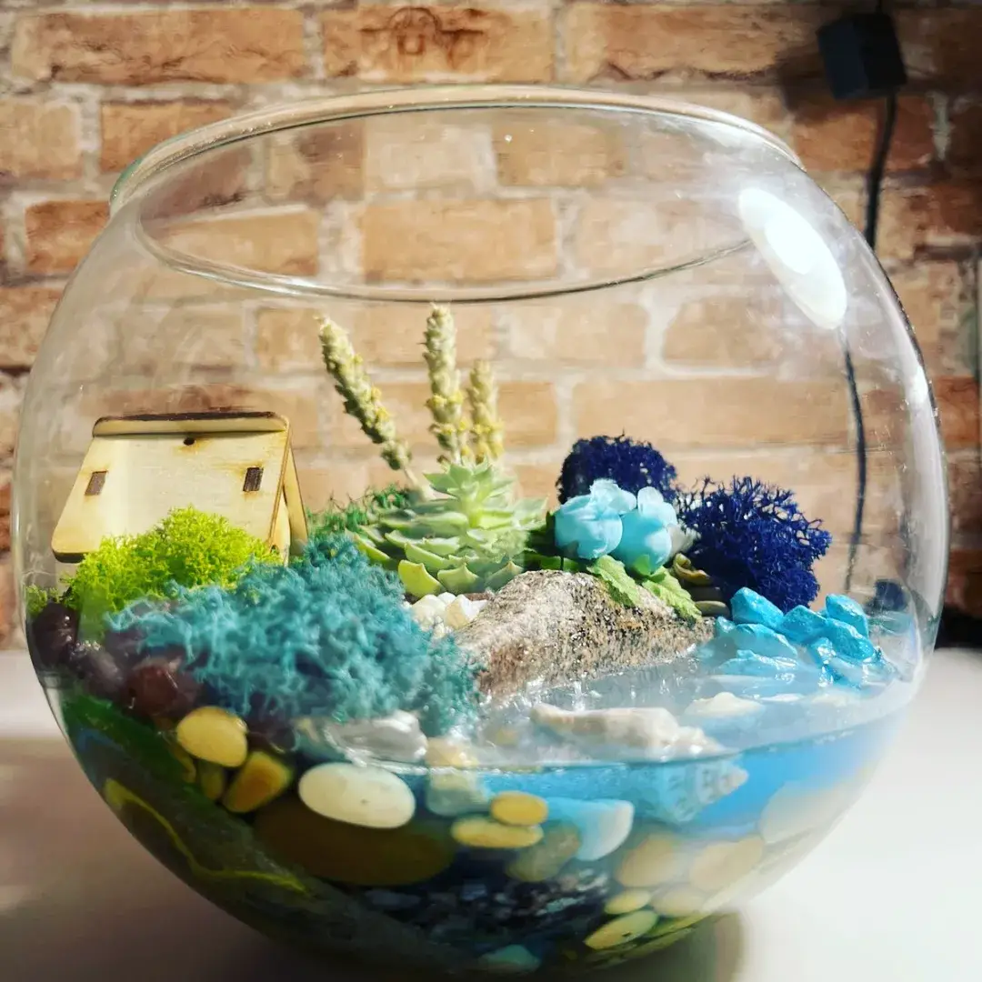 Флорариум собственного производства в Санкт-Петербурге фото 6 Для дома и дачи Санкт-Петербург