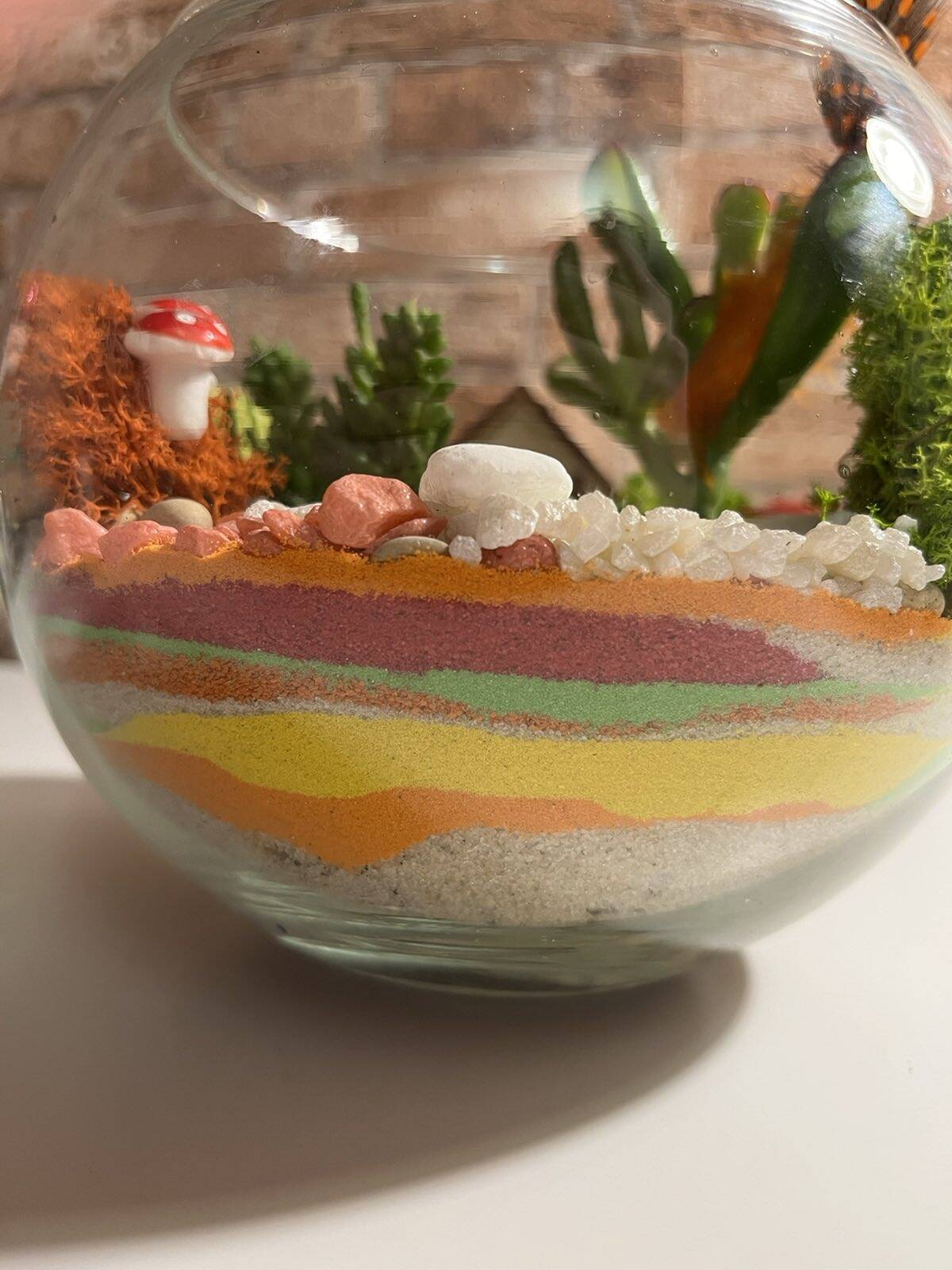 Флорариум собственного производства в Санкт-Петербурге фото 2 Для дома и дачи Санкт-Петербург