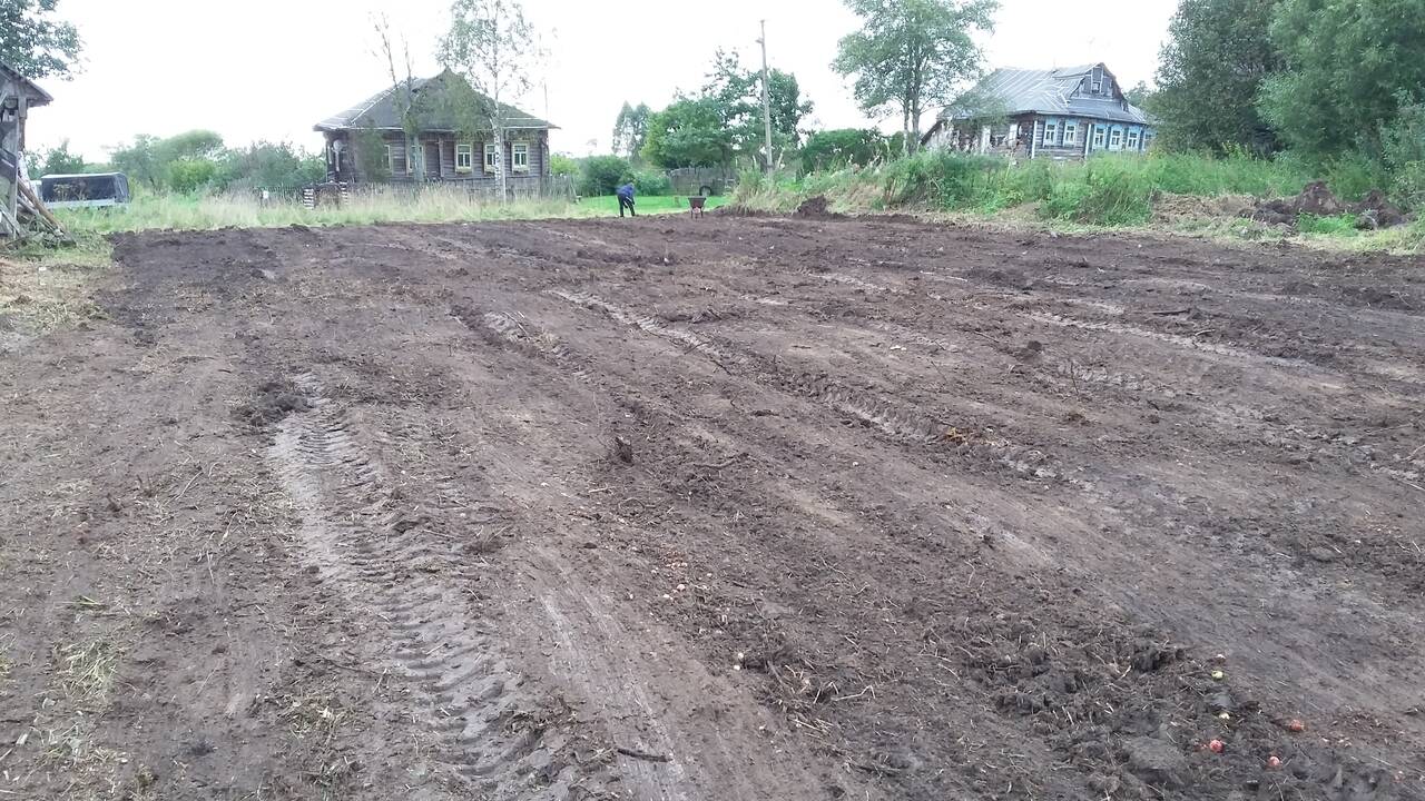 Расчистка участка под строительство в Кимрах фото 2 Услуги Кимры Расчистка участка под строительство в Кимрах фото 2 Услуги Кимры