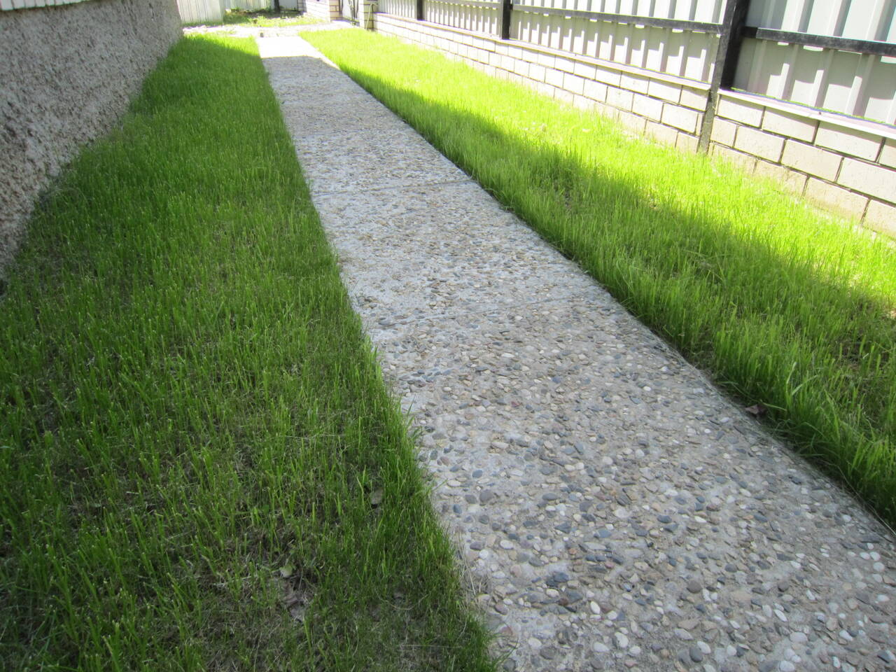 Отмостка Тропинки Бетонные работы