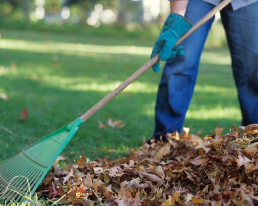 Уборка участков Обслуживание территории в Кимрах фото 6 Услуги Кимры