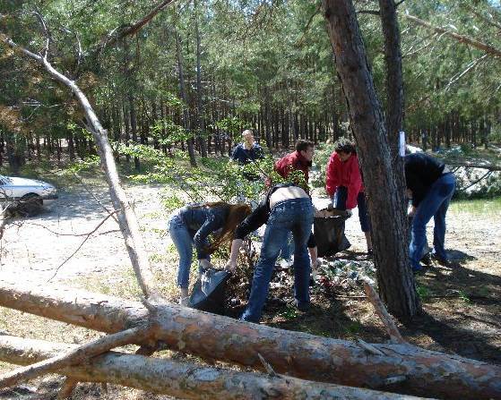 Уборка участков Обслуживание территории в Кимрах фото 4 Услуги Кимры