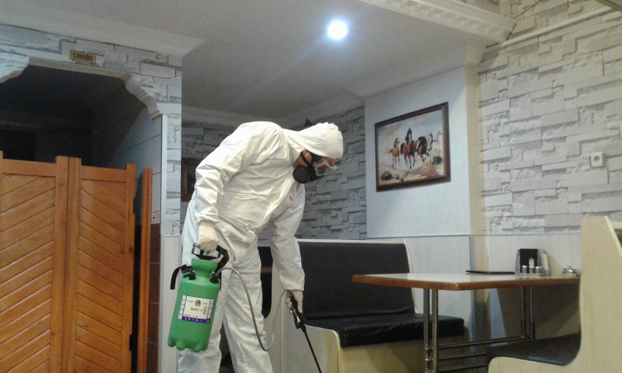 Уничтожение тараканов клопов в Москве фото 3 Услуги Москва