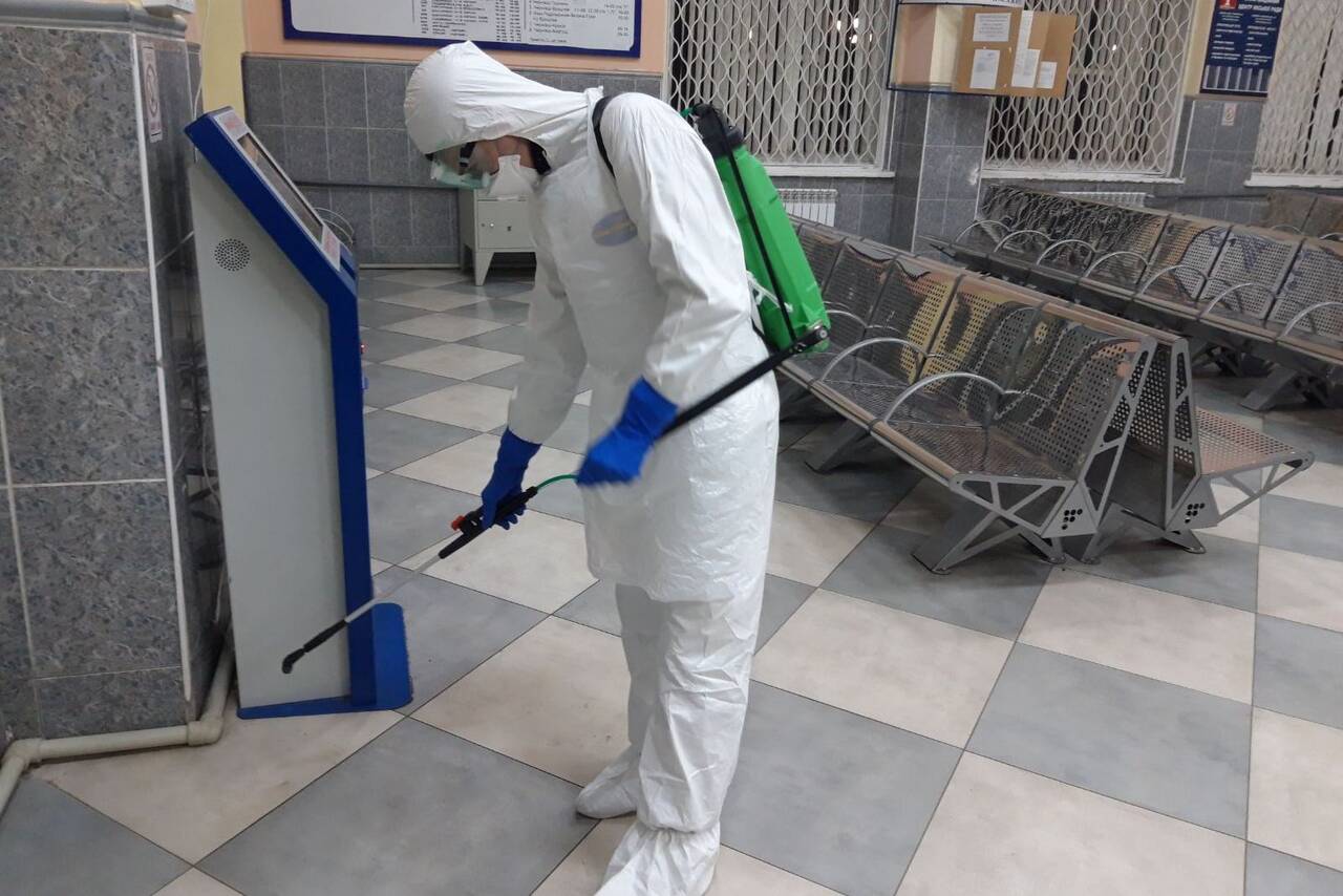 Уничтожение тараканов клопов в Москве фото 2 Услуги Москва