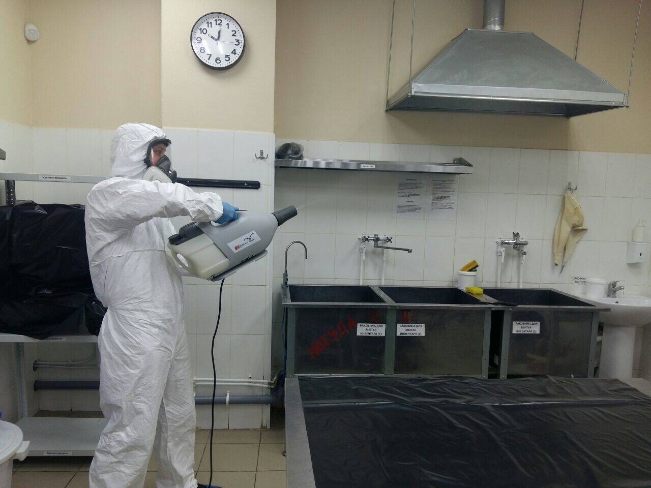 Уничтожение тараканов клопов в Москве фото 4 Услуги Москва