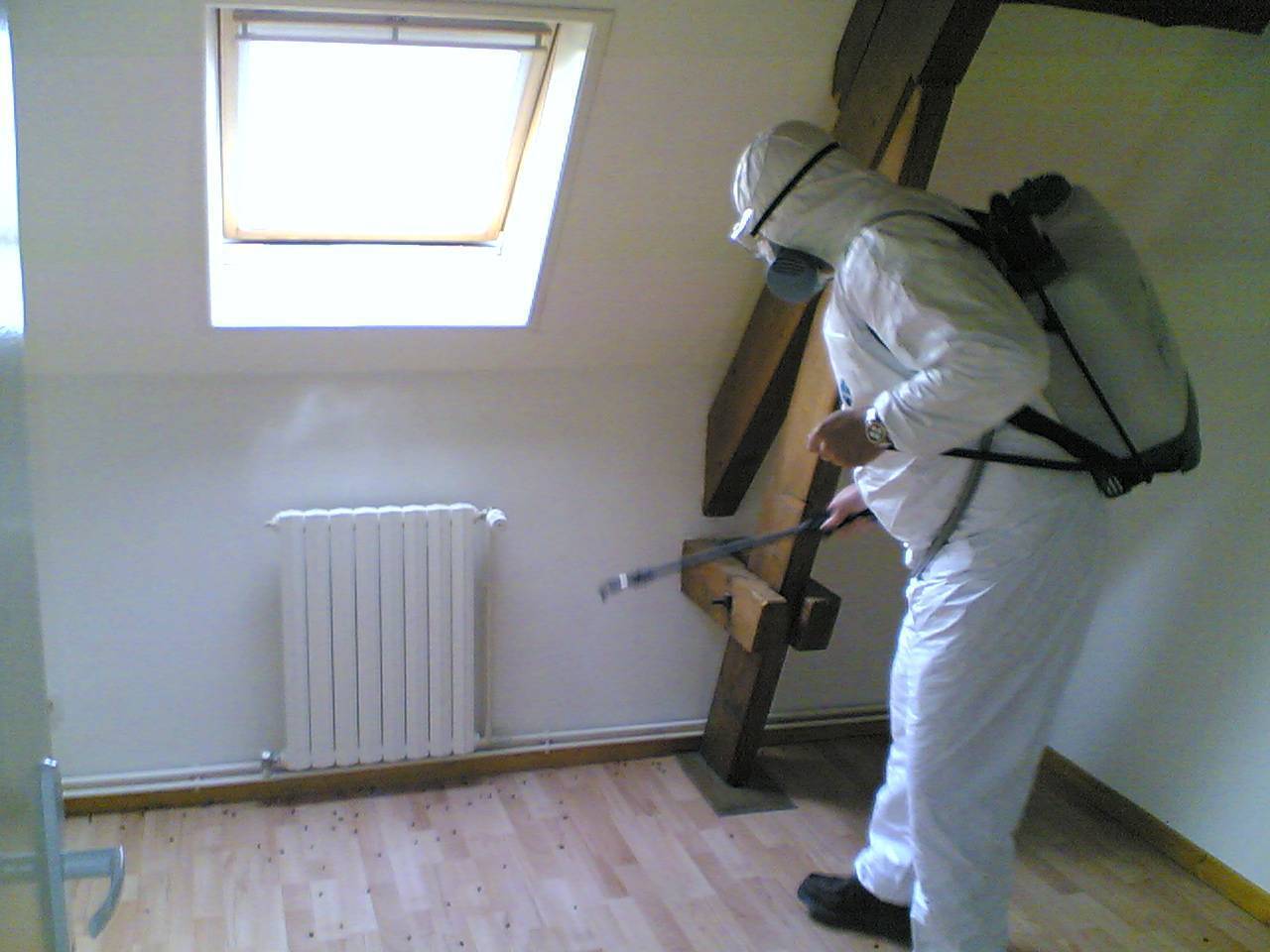 Уничтожение тараканов клопов в Москве фото 5 Услуги Москва