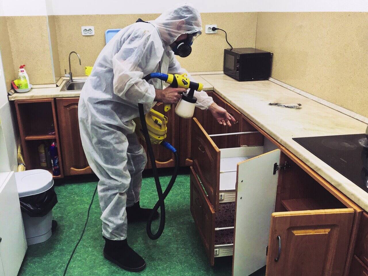 Уничтожение тараканов клопов в Москве фото 7 Услуги Москва