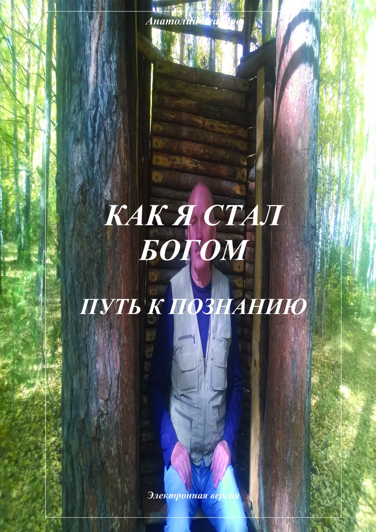 Предлагаю электронные книги цикла "Как я стал Богом" в Абазе фото 2 Увлечения и отдых Абаза