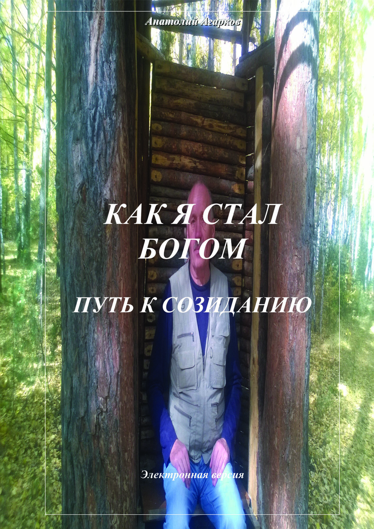 Предлагаю электронные книги цикла "Как я стал Богом" в Абазе фото 6 Увлечения и отдых Абаза
