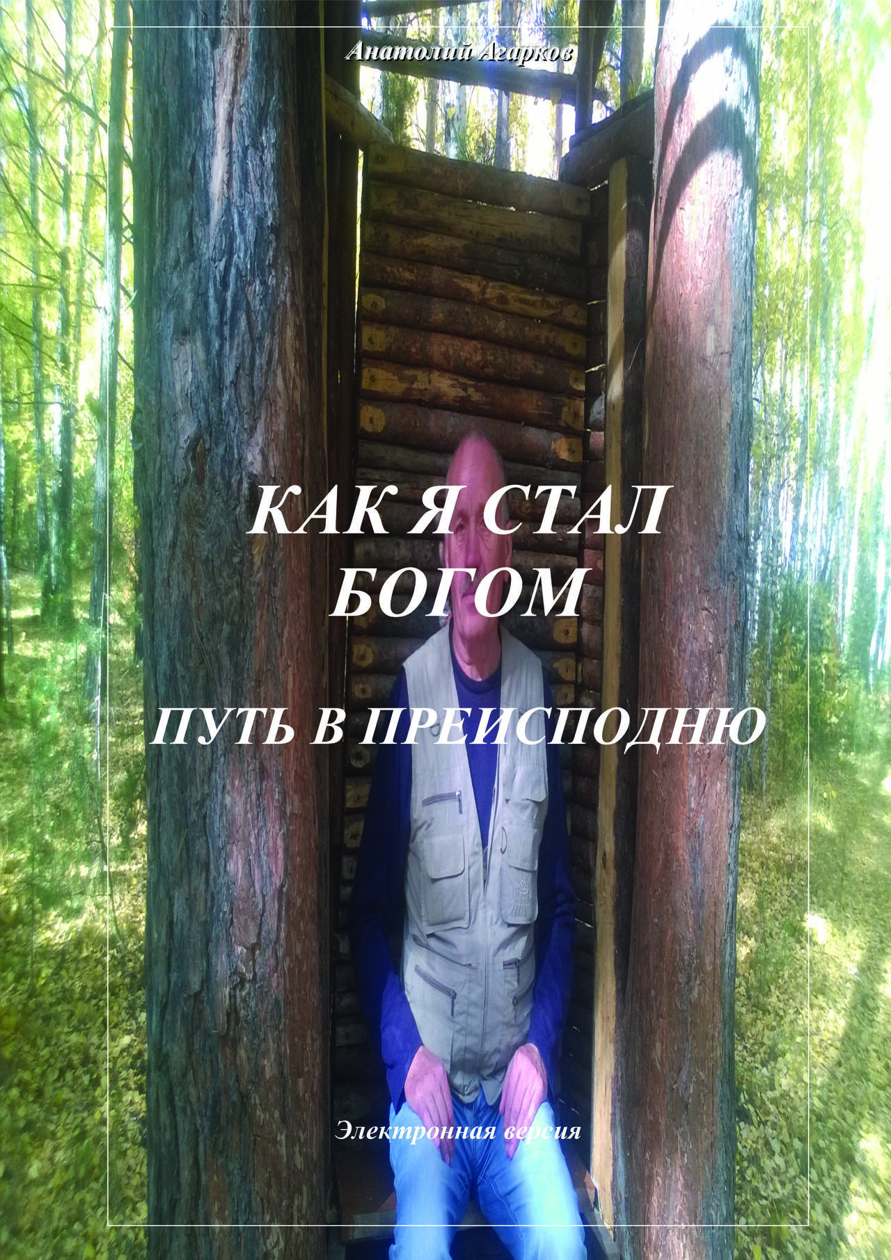 Предлагаю электронные книги цикла "Как я стал Богом" в Абазе фото 5 Увлечения и отдых Абаза