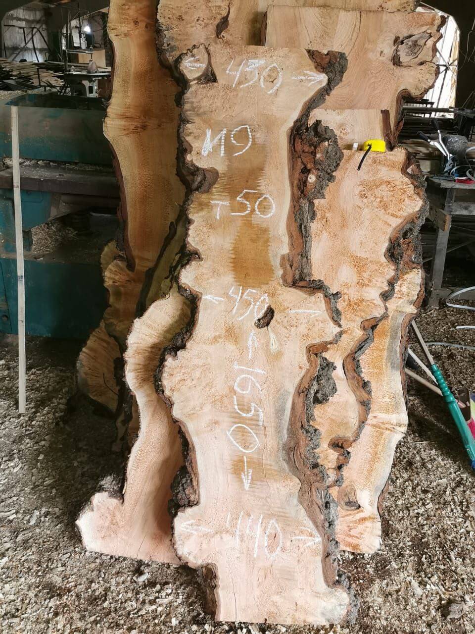 Слэбы из дуба, бука, ясеня, тополя, вербы, карагача. в Майкопе фото 1 Для дома и дачи Майкоп