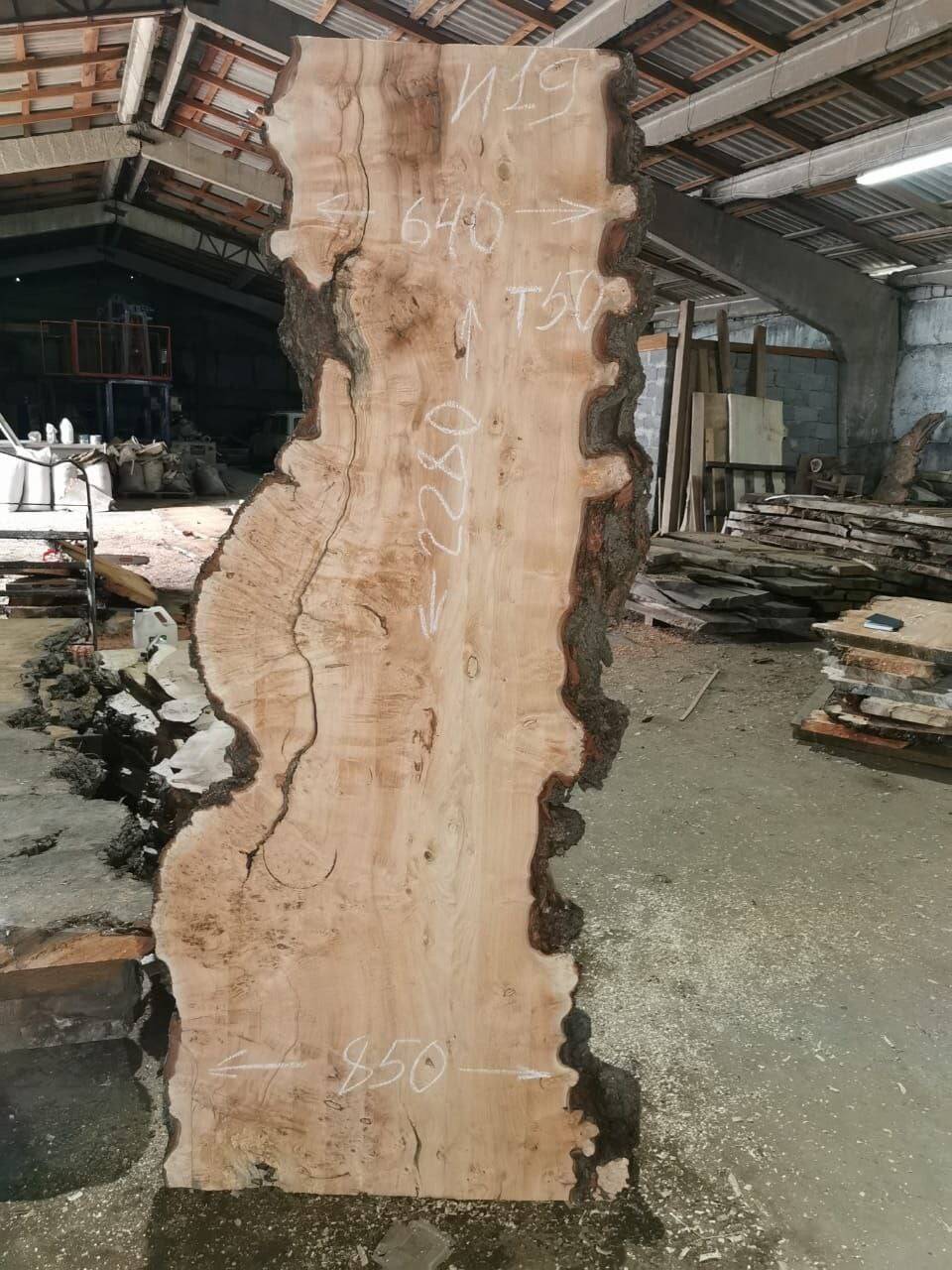 Слэбы из дуба, бука, ясеня, тополя, вербы, карагача. в Майкопе фото 2 Для дома и дачи Майкоп