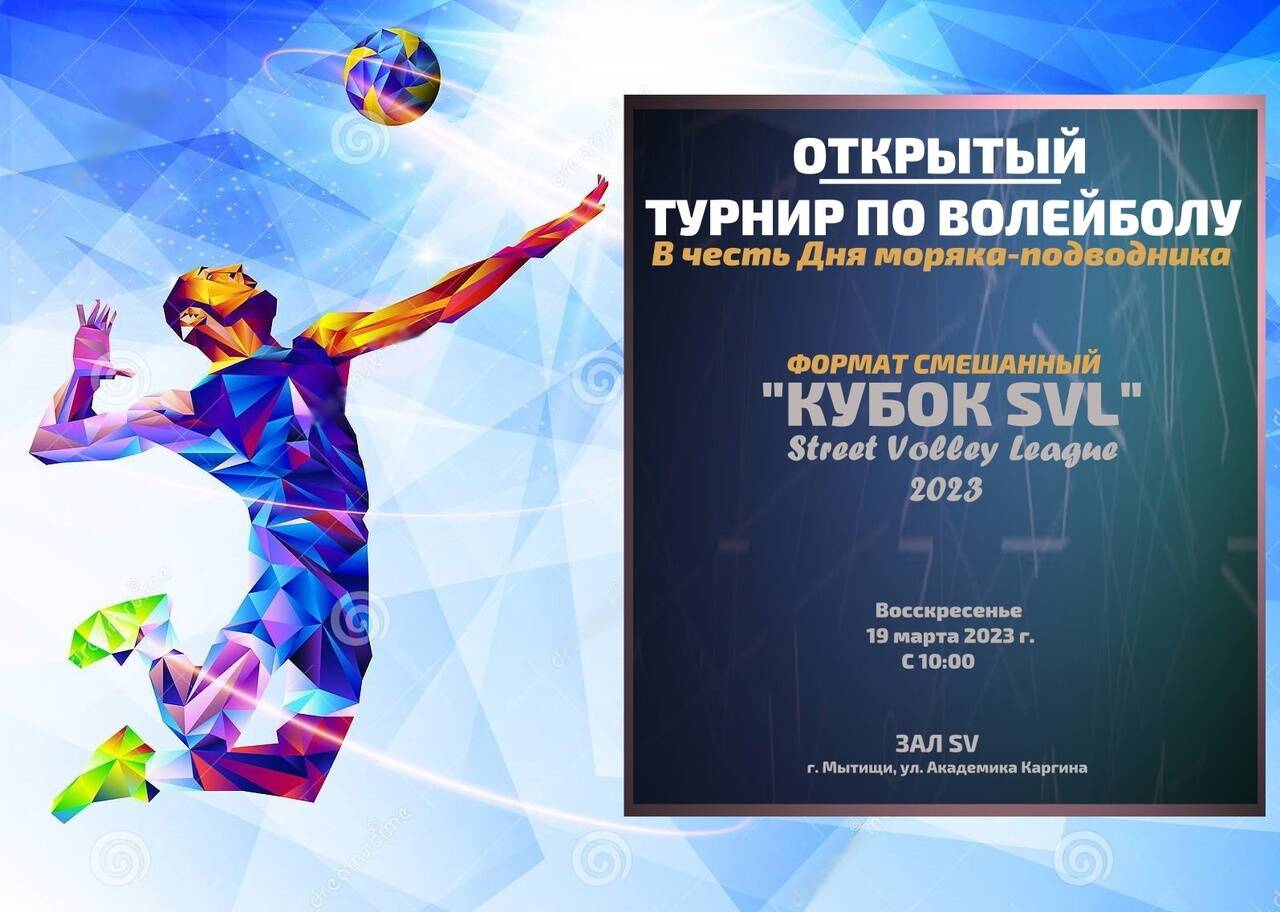 Турнир по волейболу 