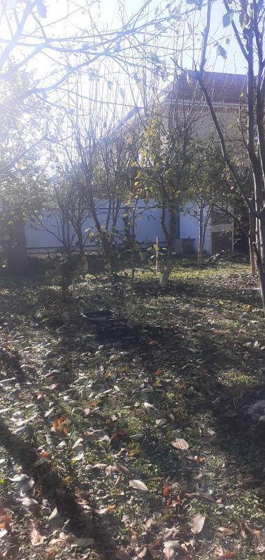 Продаем дом в Краснодаре фото 3 Недвижимость Краснодар Продаем дом в Краснодаре фото 3 Недвижимость Краснодар