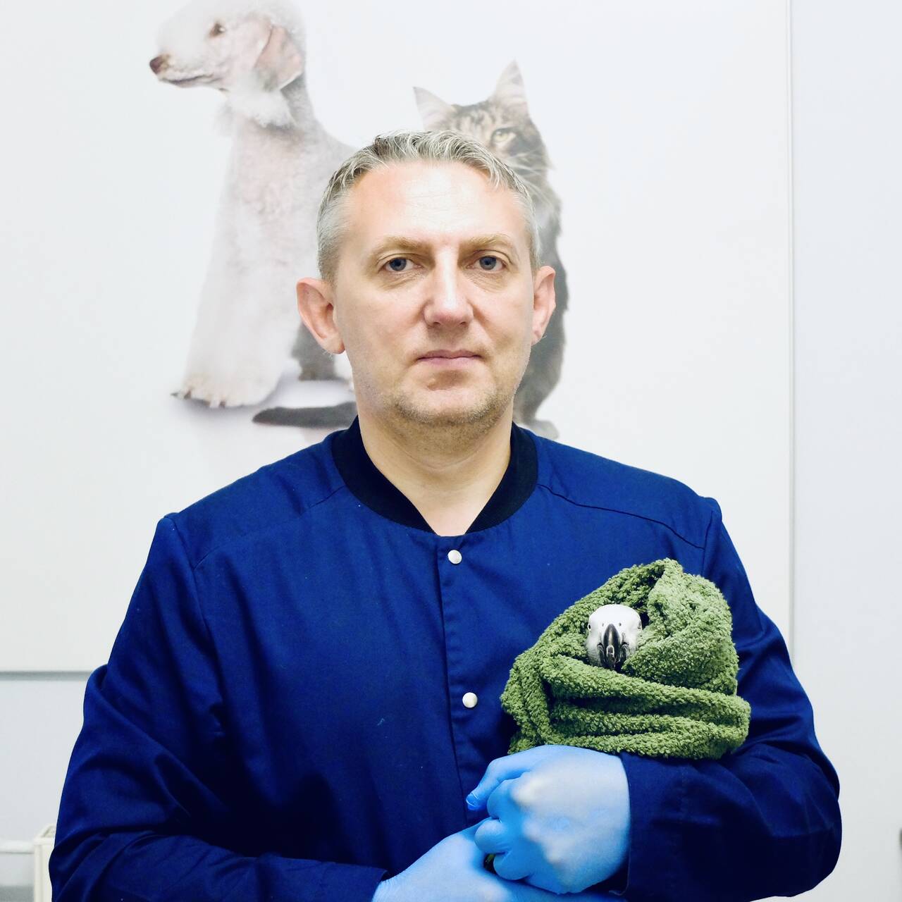 Лечение птиц на Каховке в Москве фото 3 Услуги Москва