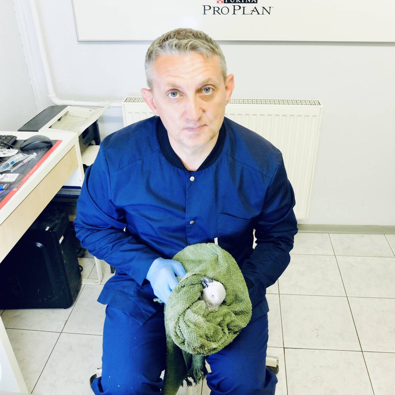 Лечение птиц на Каховке Лечение птиц на Каховке