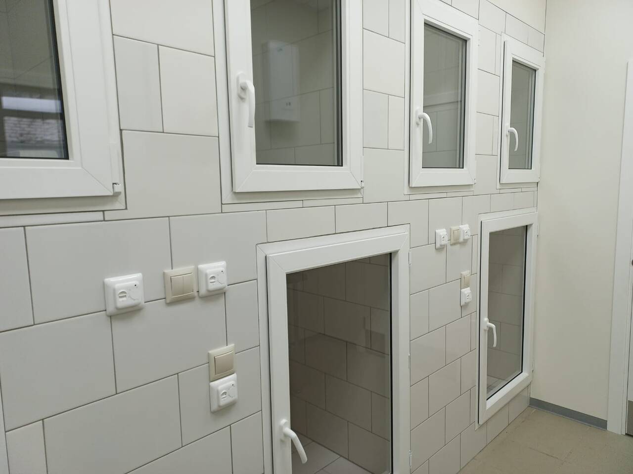 Зоогостиница Бемби на Каховке  в Москве фото 3 Услуги Москва