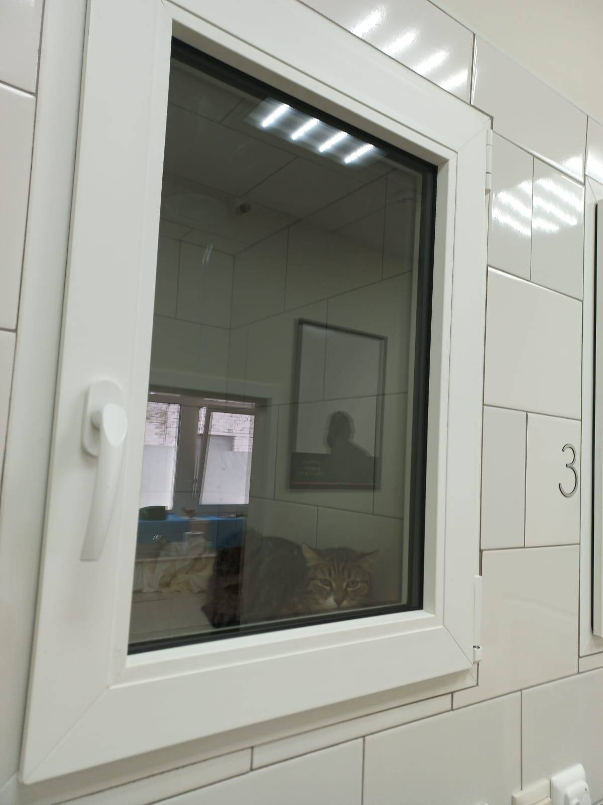 Зоогостиница Бемби на Каховке  в Москве фото 4 Услуги Москва