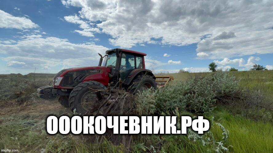  Вырубка, выкорчёвка, переработка в щепу деревьев и корней в Ростове-на-Дону фото 2 Услуги Ростов-на-Дону