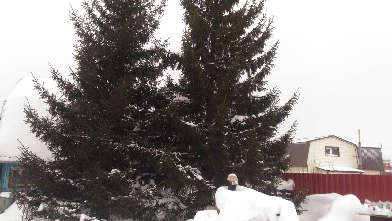 Продается земельный участок 15 соток  в Базилеевке