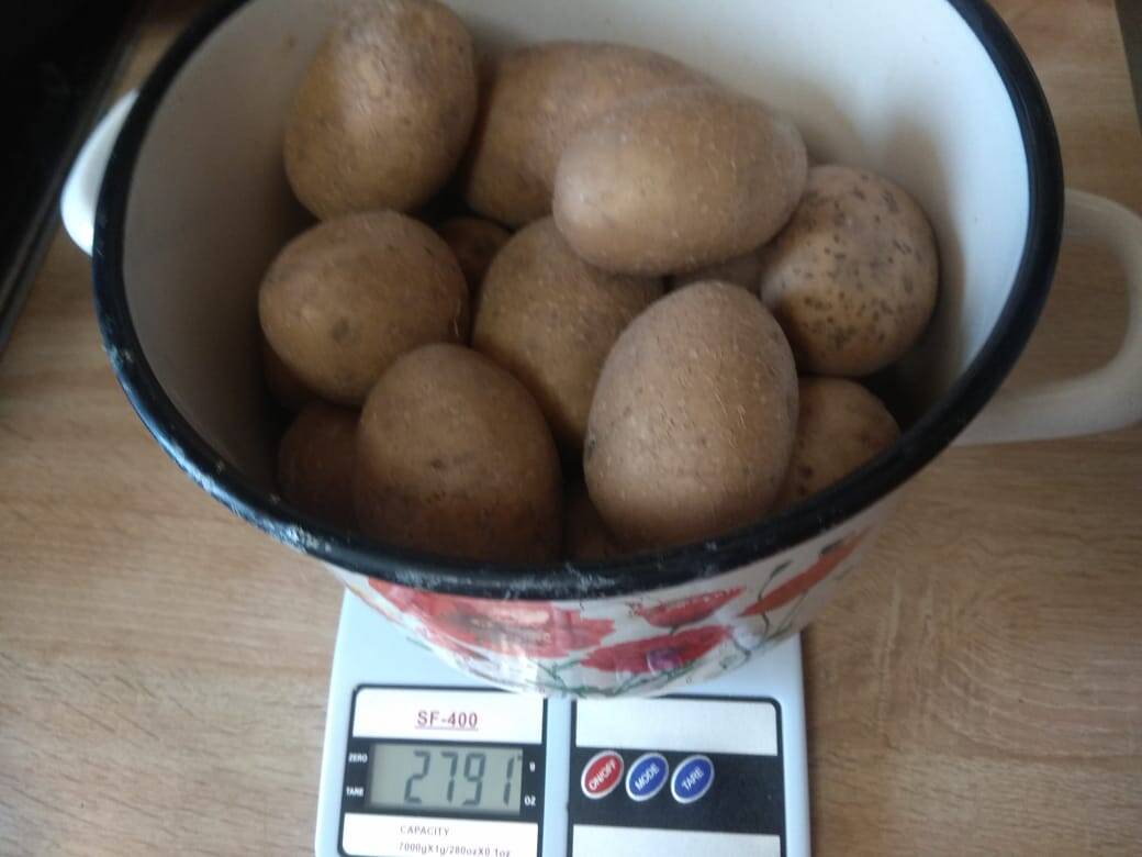 Картофель, продукты питания в Лобне фото 1 Продукты питания Лобня