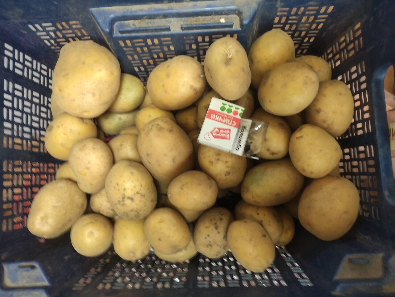 Картофель, продукты питания в Лобне фото 3 Продукты питания Лобня