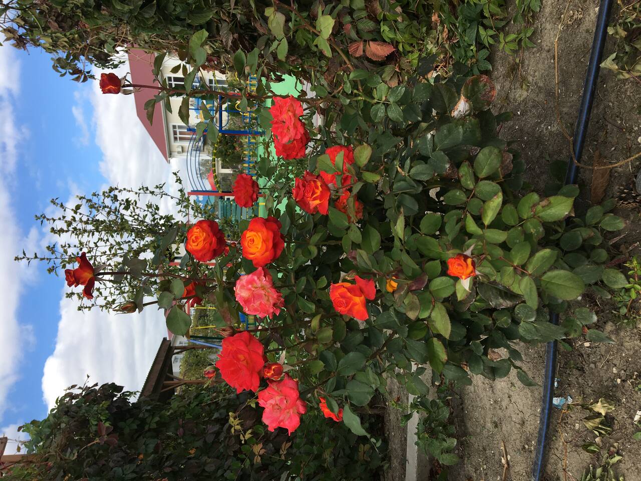 Требуются садовники и разнорабочие в отель