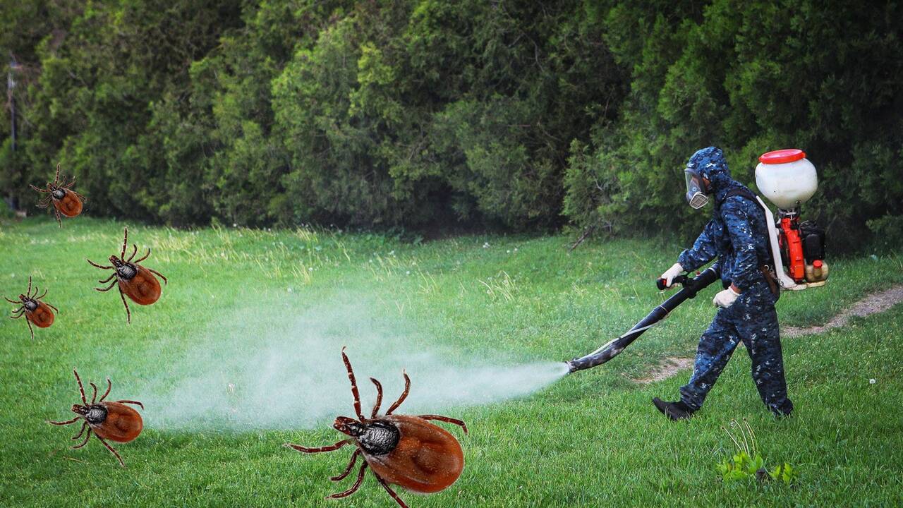 Дезинфектор РАБОТА С ЗАВТРАШНЕГО ДНЯ. АВАНС ЕЖЕДНЕВНО. в Екатеринбурге фото 2 Услуги Екатеринбург