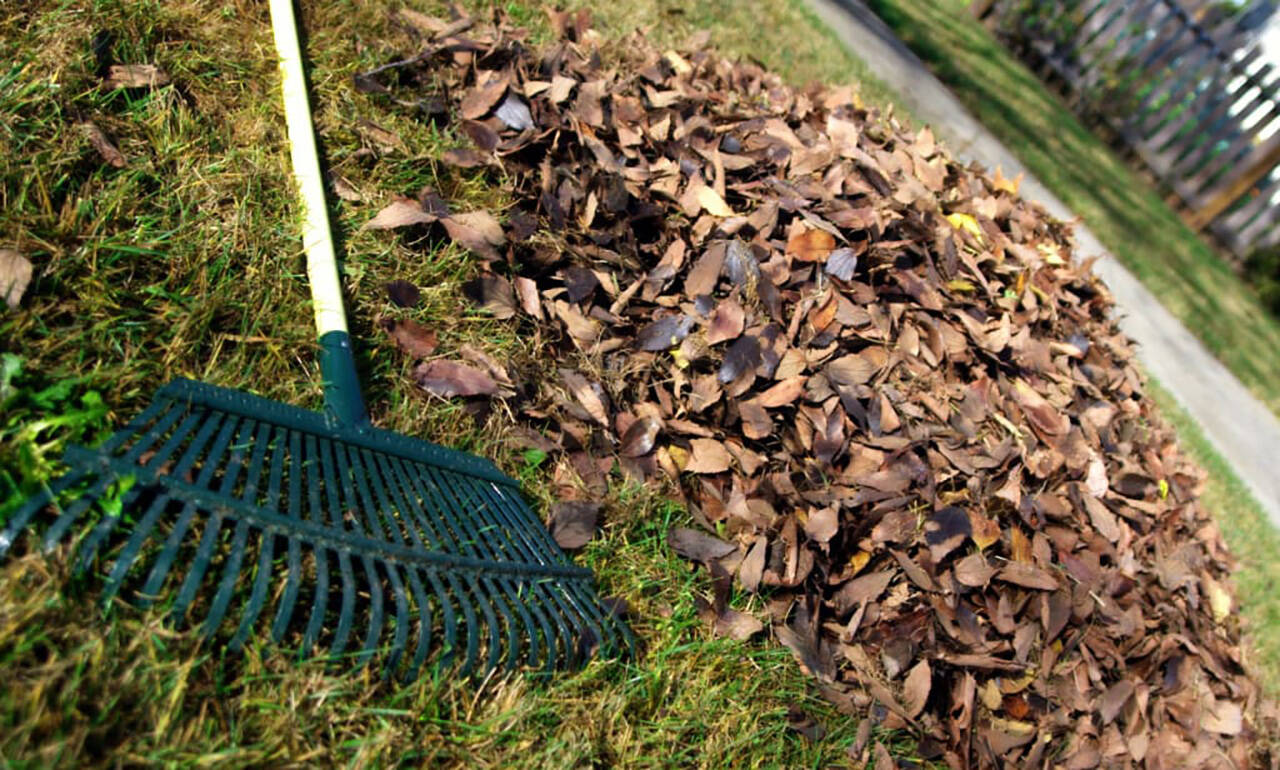 Уборка территории,услуги разнорабочих,озеленение в Уфе фото 3 Услуги Уфа