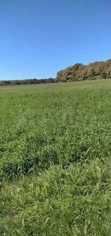 Земельный участок 2.3 га в Новороссийске фото 2 Недвижимость Новороссийск