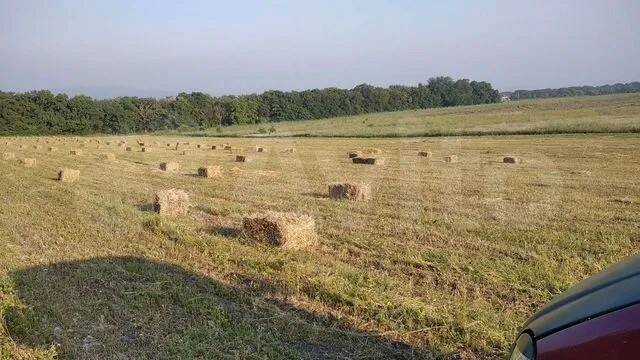 Земельный участок 2.3 га в Новороссийске фото 4 Недвижимость Новороссийск