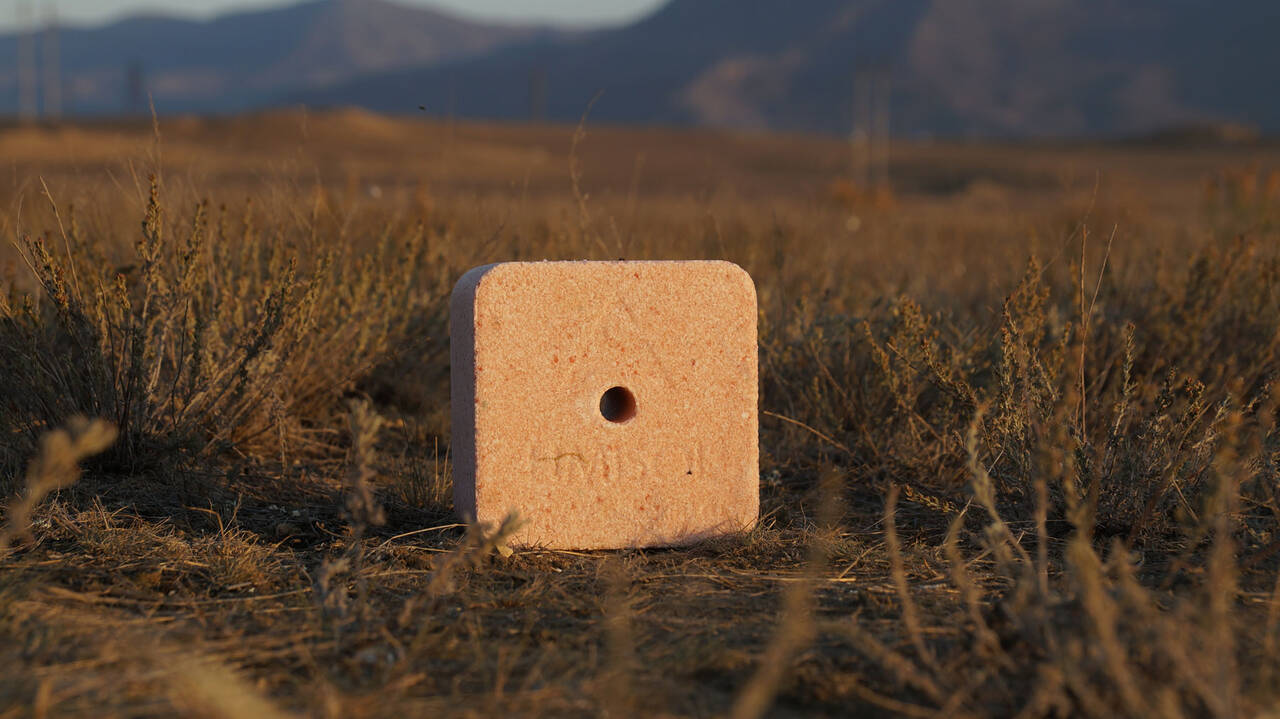 Соль-лизунец "Лимисол-Селевит" ПРЕМИУМ (коробка 20 кг) Соль-лизунец "Лимисол-Селевит" ПРЕМИУМ (коробка 20 кг)