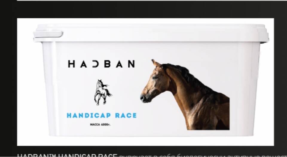 HADBAN™ HANDICAP RACE HADBAN™ HANDICAP RACE