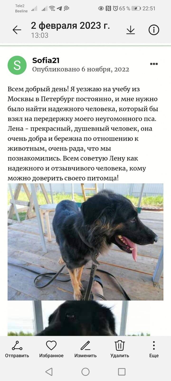 Загородная передержка для собак посуточно/помесячно в Ясногорске (Тульская область) фото 7 Услуги Ясногорск (Тульская область) Загородная передержка для собак посуточно/помесячно в Ясногорске (Тульская область) фото 7 Услуги Ясногорск (Тульская область)