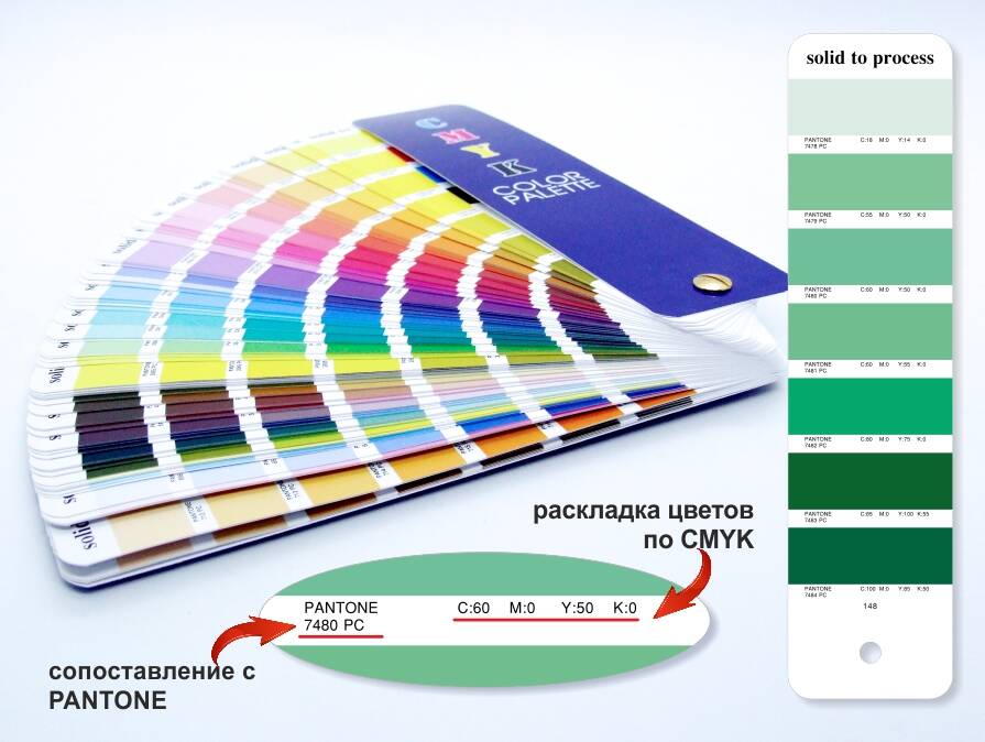 Цветовой Веер CMYK-to-PC (PANTONE Color Bridge) в Москве фото 6 Услуги Москва