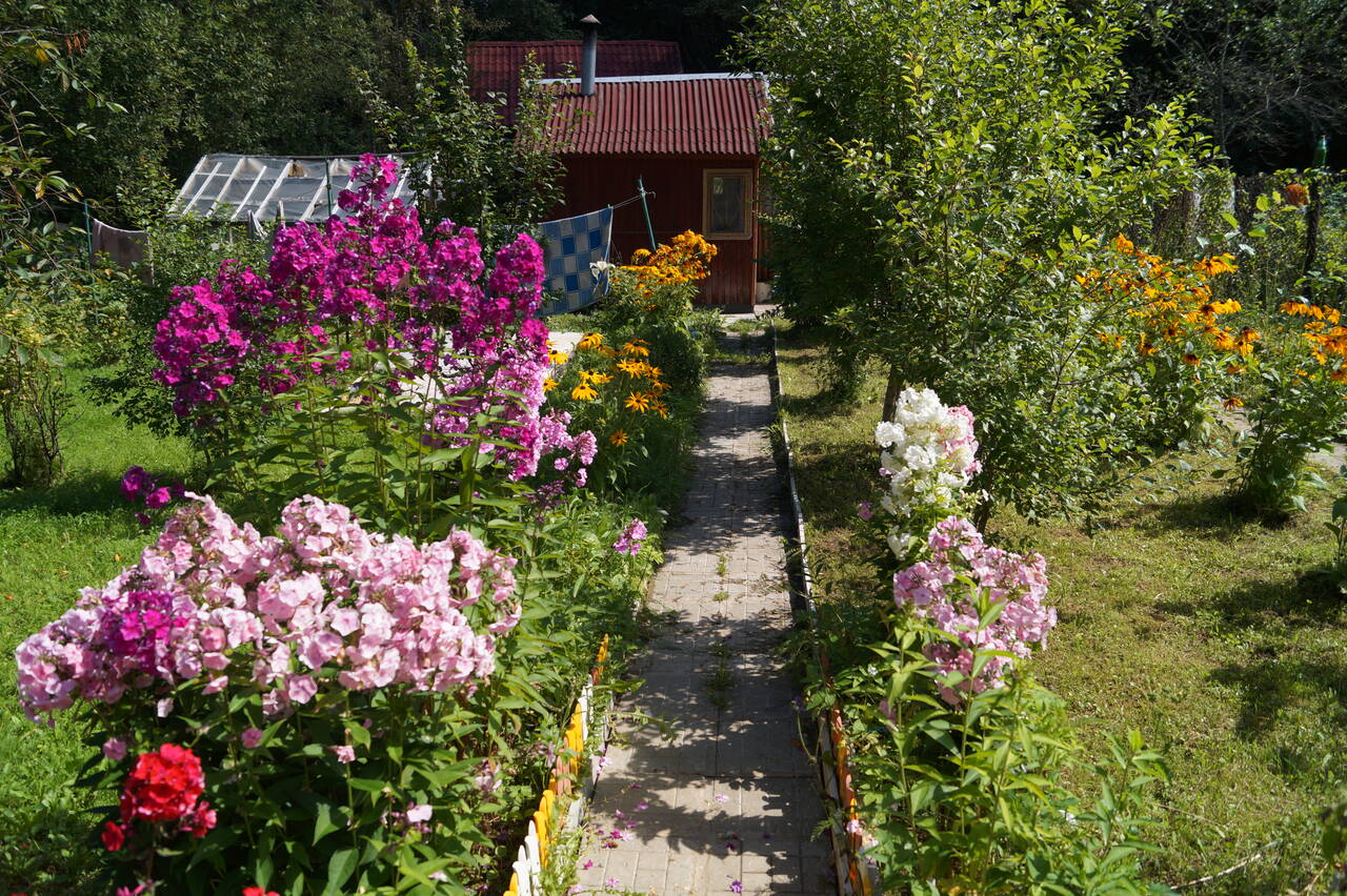 Продам дачу в Дмитрове фото 6 Недвижимость Дмитров